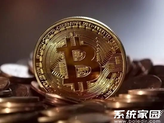 瑞波币行情分析界面