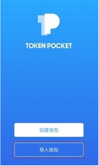 Topay数字钱包界面展示