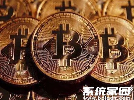 资产分析图表