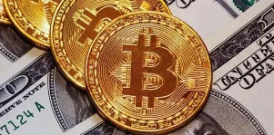 Gopay钱包支付界面展示
