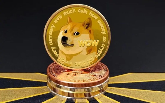 狗币价格波动趋势与市场解读