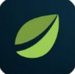 Deribit专业级数字资产交易平台中文版