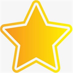 会计之星财务软件专业版