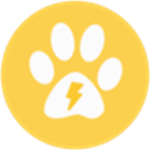 胖爪装机大师系统重装解决方案v1.0.1.0 