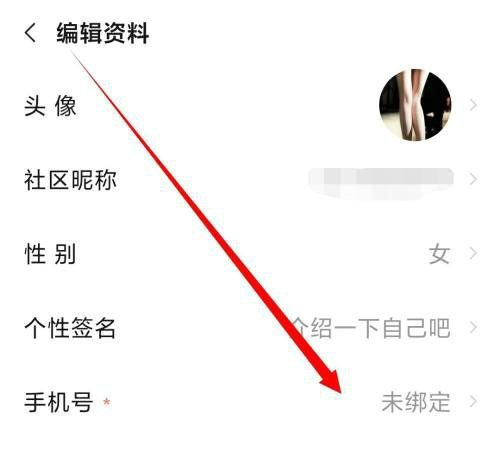 手机号码输入界面示例