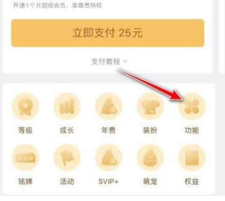 QQ会员特权分类示意图