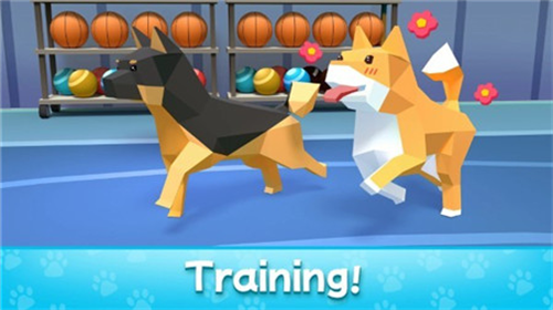 u5ba0u7269u5927u4ea8