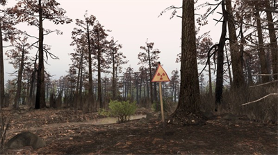 u65cbu8f6cu8f6eu80ceu65e0u5e7fu544au7248