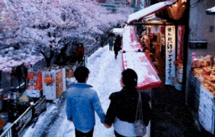 Sora视频生成模型国内应用实例