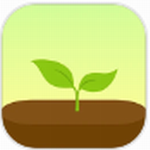 Forest专注森林高效管理时间