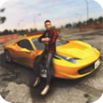 在线驾驶汽车3D驾驶全模式v1.1 汉化版