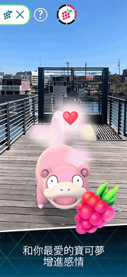 u5b9du53efu68a6u5185u8d2du514du8d39u7248