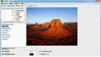 软件界面示意图