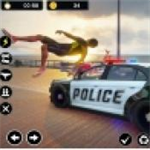 巡警警察模拟器真实都市执法实录