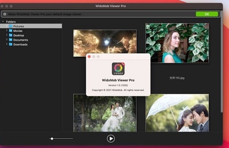 WidsMob Viewer Pro(u7167u7247u4e0eu89c6u9891u7ba1u7406u5668) 