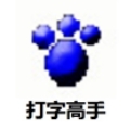 打字高手  最新版v8.4