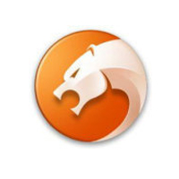 猎豹双核安全浏览器极速防护v9.0.112.22581