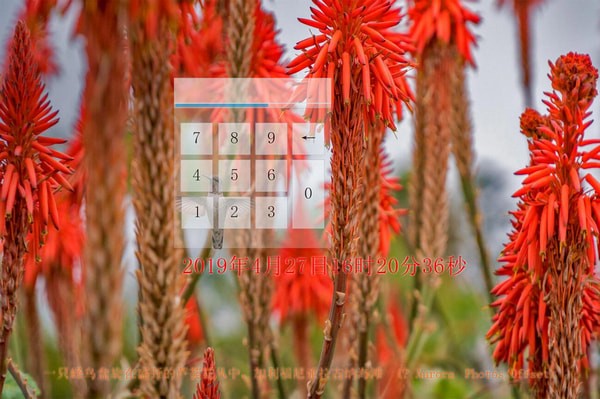 动态密码输入界面