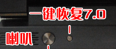 恢复选项