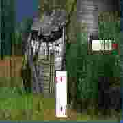 拖拉机扑克经典规则与玩法详解