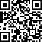 美国警车驾驶真实